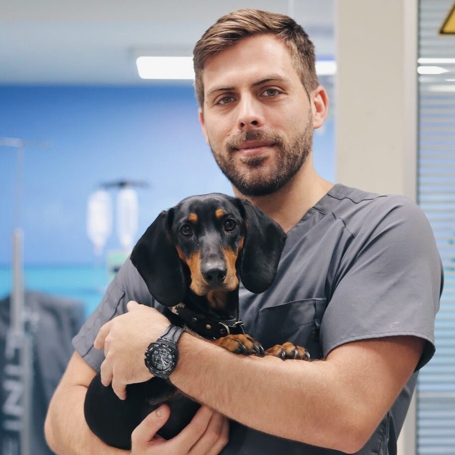 Processed with VSCO with hb1 preset