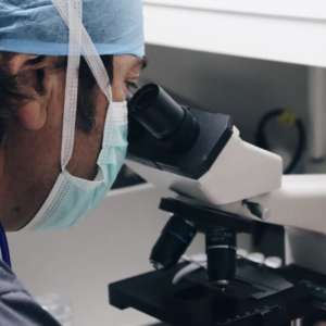 Laboratorio Veterinario Madrid