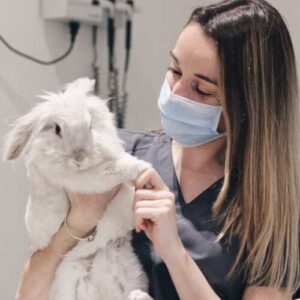 Hospital Veterinario Retiro