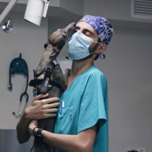 Hospital Veterinario Retiro