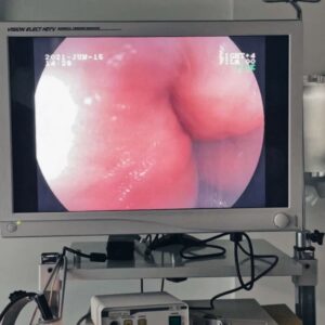 Endoscopia Veterinaria Madrid