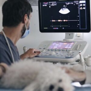 Diagnostico por imagen Veterinario Madrid