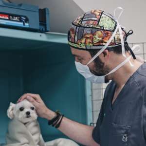 Hospitalizacion Veterinaria Madrid