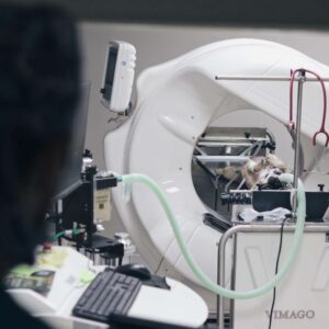Diagnostico por imagen Veterinario