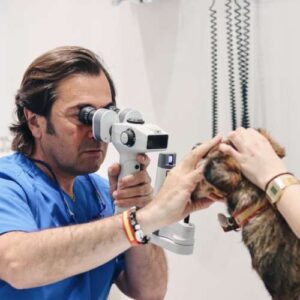 Hospital Veterinario Retiro