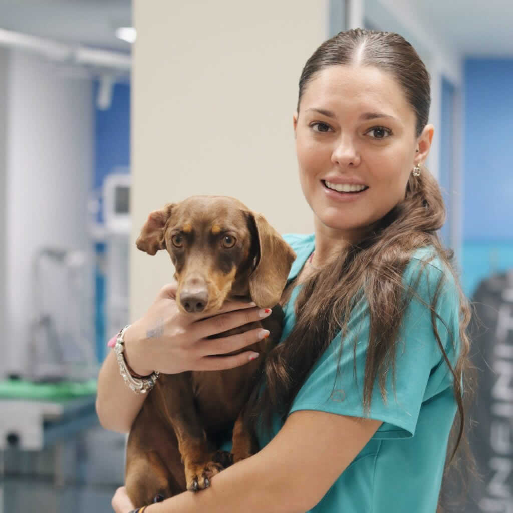 Andrea Balseras Veterinario Madrid
