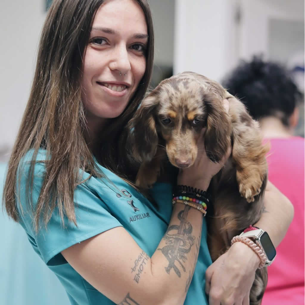 Ariadna Gonzalez Veterinario Madrid