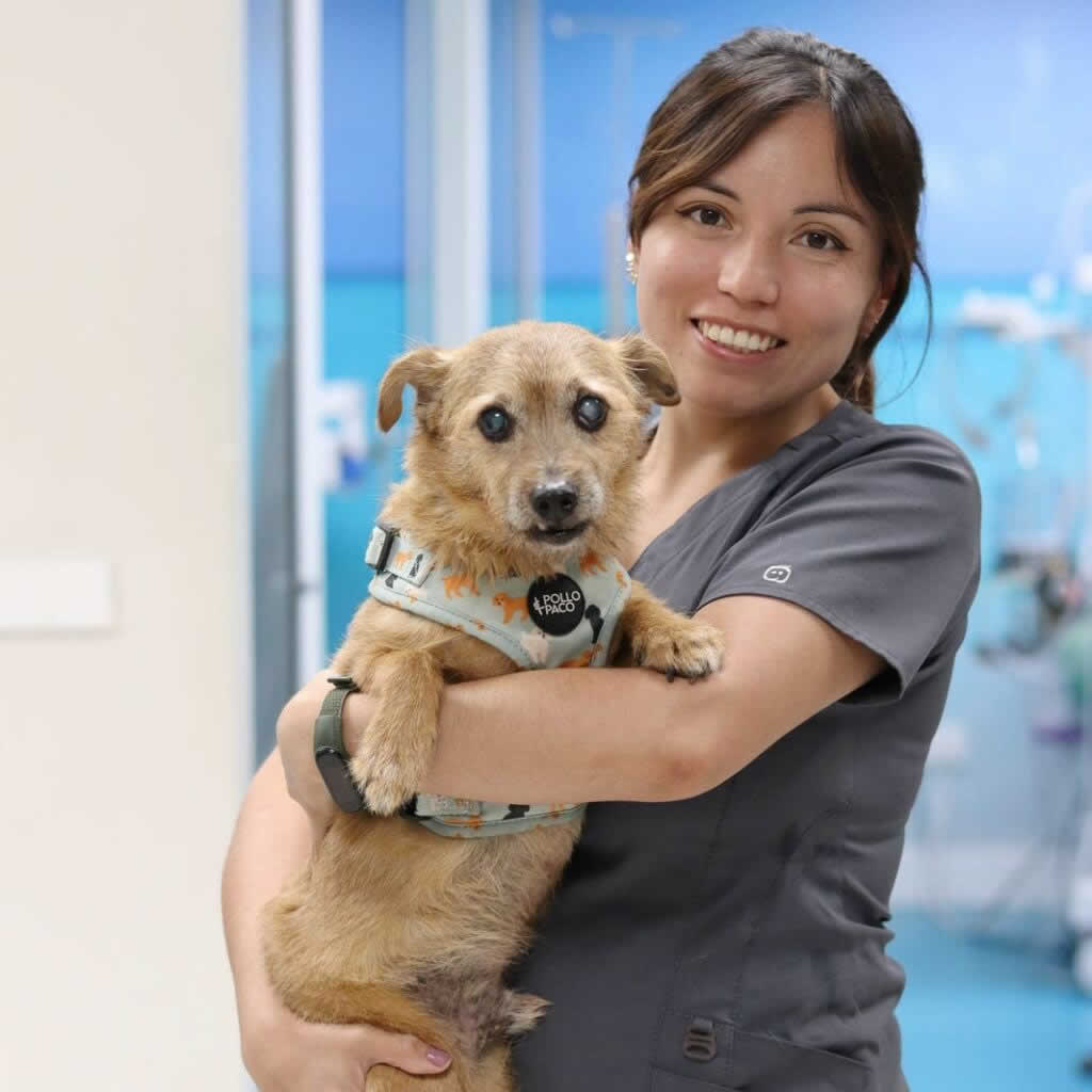 Carolina Almeida Veterinario Madrid