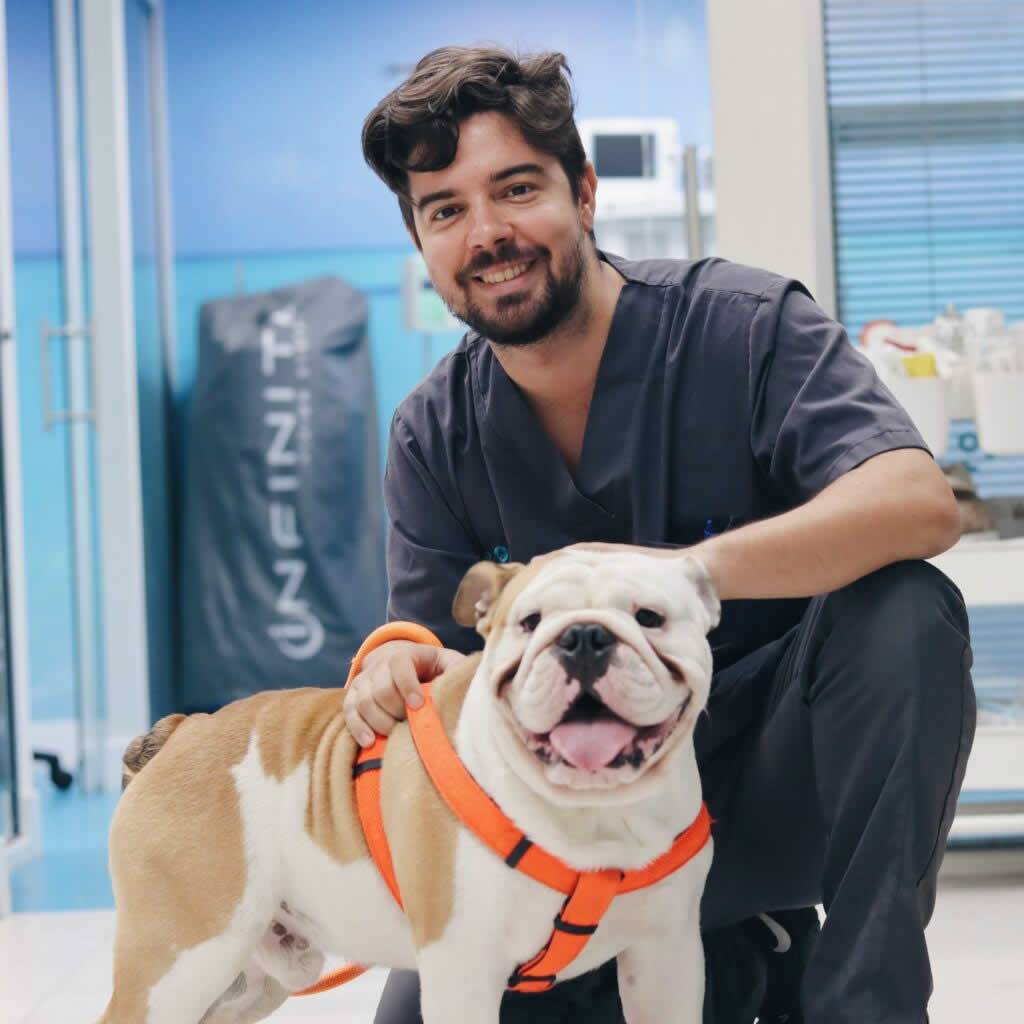 David Ruiz Veterinario Madrid