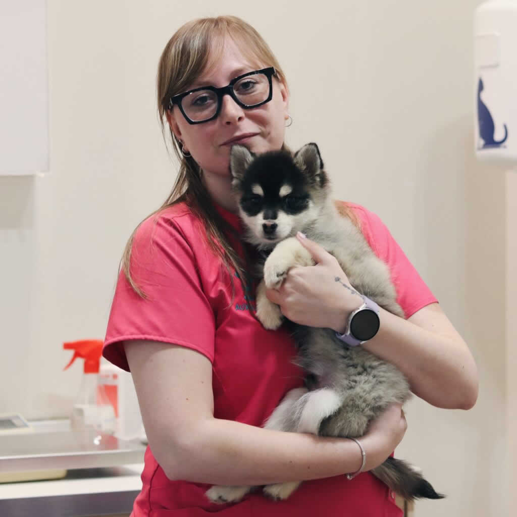 Elena Parriego Veterinario Madrid