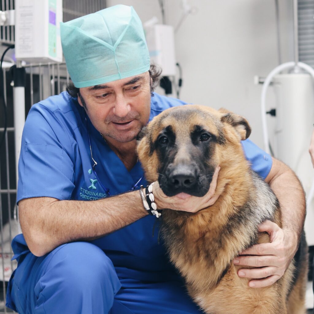 Fernándo Pérez Veterinario Madrid