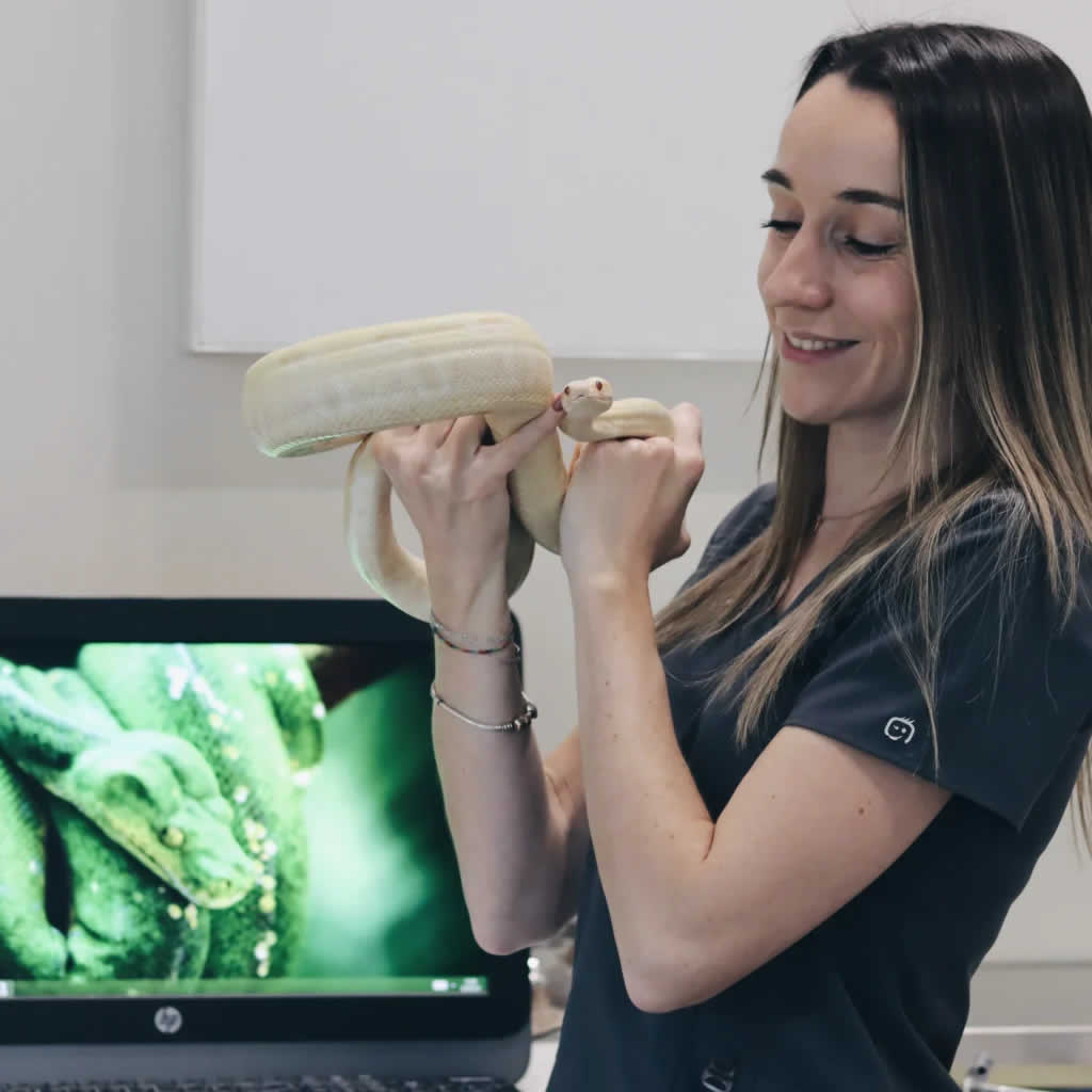 Iris Dominguez Veterinario Madrid