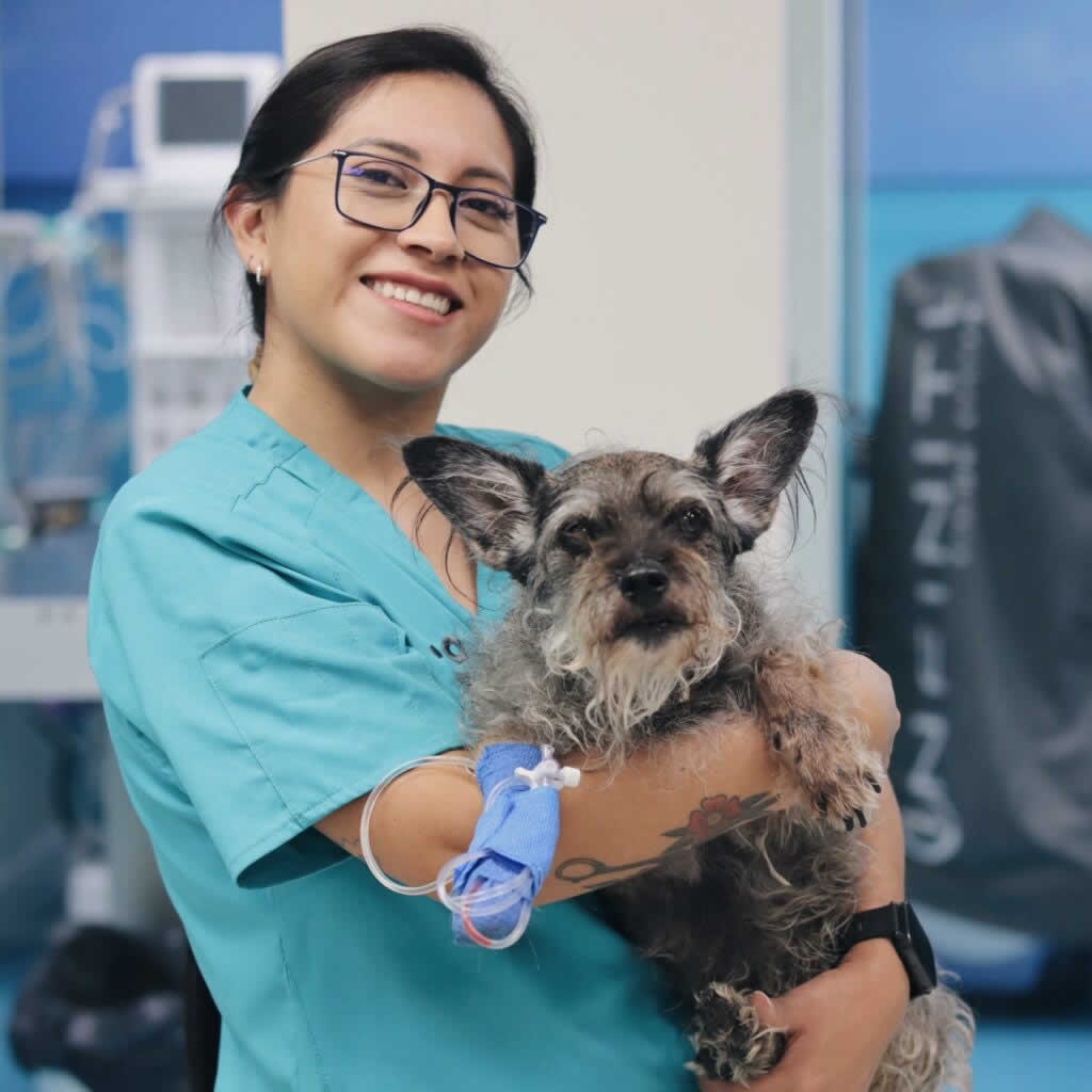 Ivonne Perugachi Veterinario Madrid