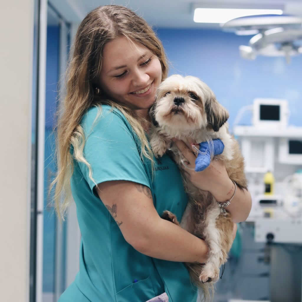 Maria Diaz Veterinario Madrid