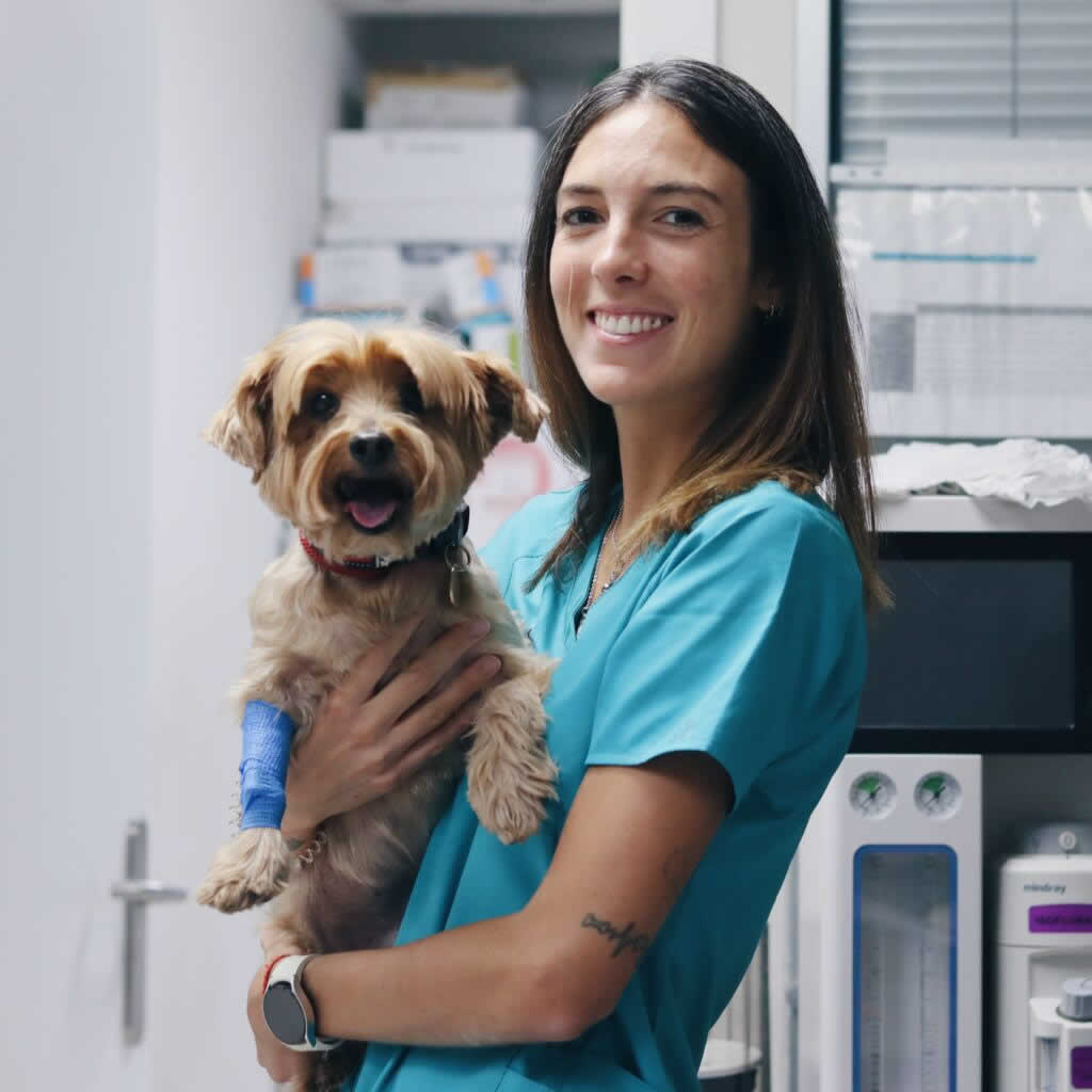 Monica Montes Veterinario Madrid