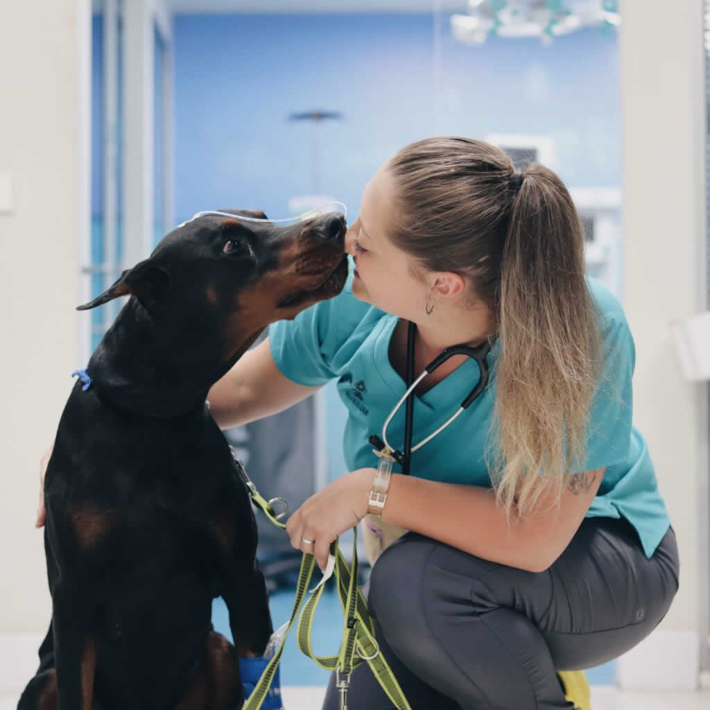 Sandra Sanchez Veterinario Madrid