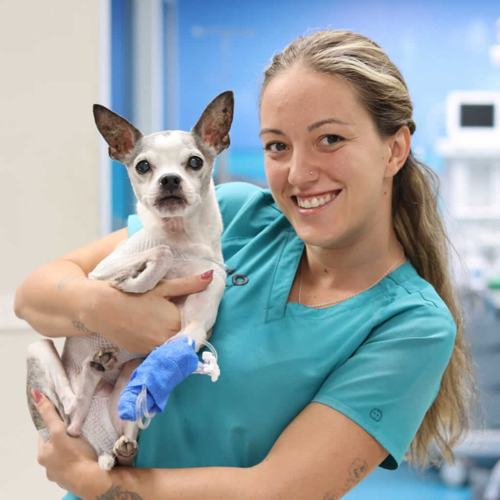 Sara Torres Veterinario Madrid