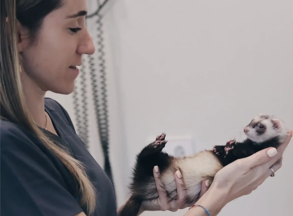 Veterinario de animales exoticos en Madrid