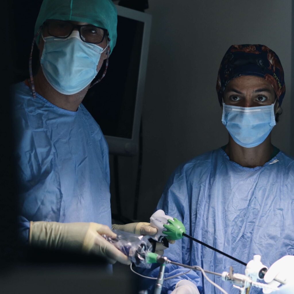 Veterinario aparato digestivo en Madrid