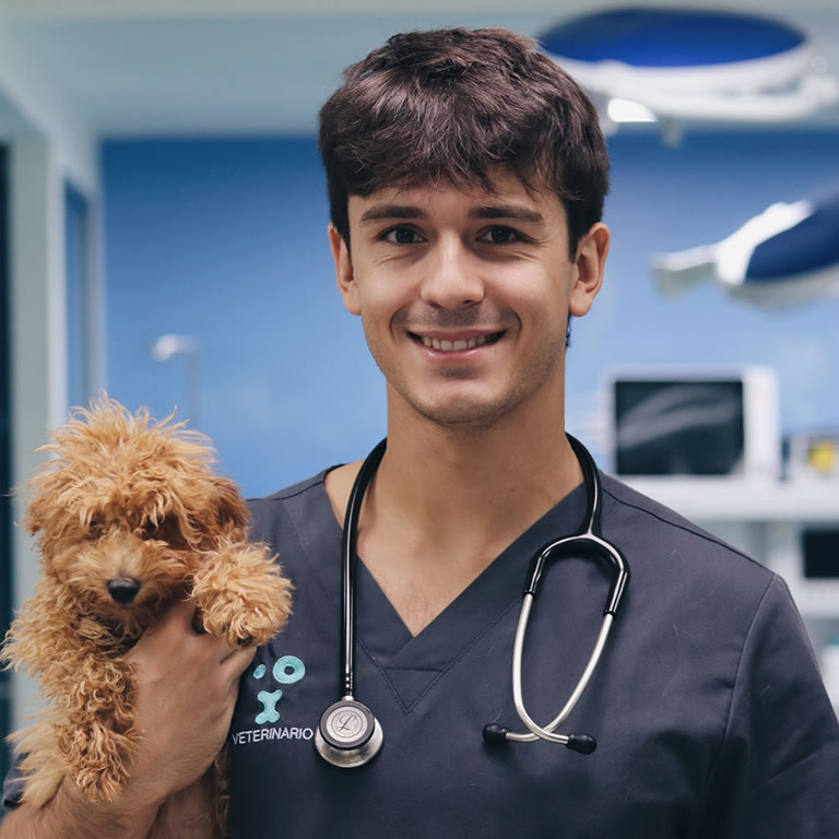 Alvaro Carrera Veterinario Retiro